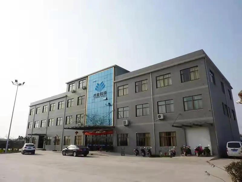 2021 High-Quality Sesame Street Kaws Pillow Bbf Plush Toy Doll