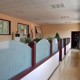 2021 Hot Sell Cute Rabbit Plush Toy Doll, Rabbit Gift for Girlfriend