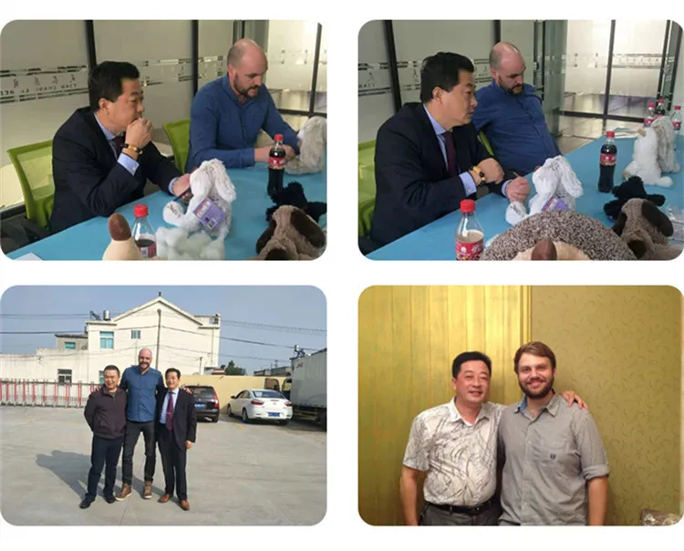 Christmas Cactus Plush Toy Electronic Shake Dancing Toy with The Song Plush Cute Dancing Cactus Early Childhood Talking Cactus