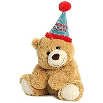 Fluffy Birthday Bear Birthday Gift Customized Baby Companion