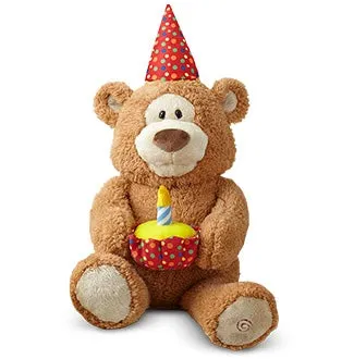 Fluffy Birthday Bear Birthday Gift Customized Baby Companion