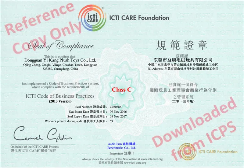 Indoor and Outdoor Beautiful Comforatable and Soft Plushed Pillows and Cushion