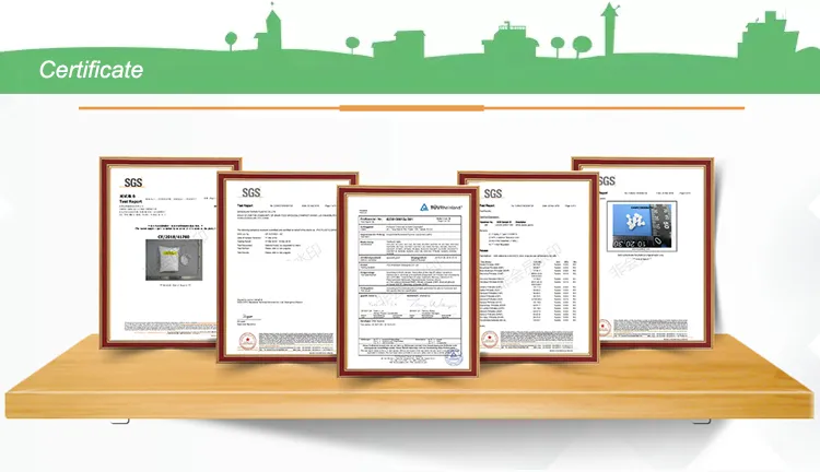 Judylovelps Lps Custom Coffee Collie and Vanilla Collie, 2PCS Custom Collie Ooak Rare Figures with Lps Accessories Kids Gift