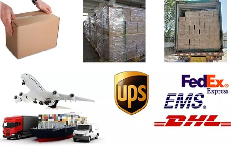 Kids Christmas Gifts Wooden Puzzle Jigsaw Puzzle Unique Animal Puzzle Wolf Dinosaur Elephant Lion Owl