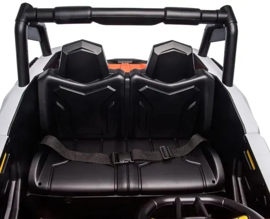 New 24V 2 Seater Kids Electric Ride on Car Toys