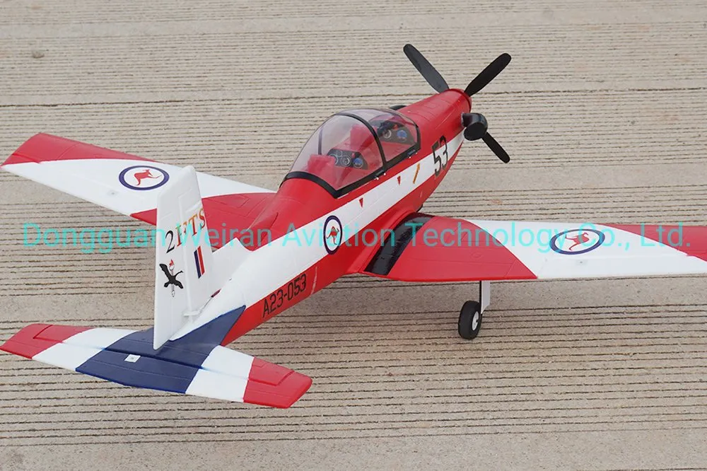 New Design PC-9 Se Foam Electric RC Airplane Model Dongguan China Manufacturer