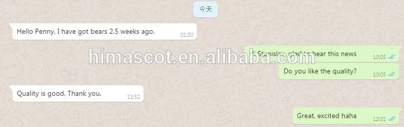 Teddy Bear of Roses Valentine′s Day Present Foam Rose Artificial