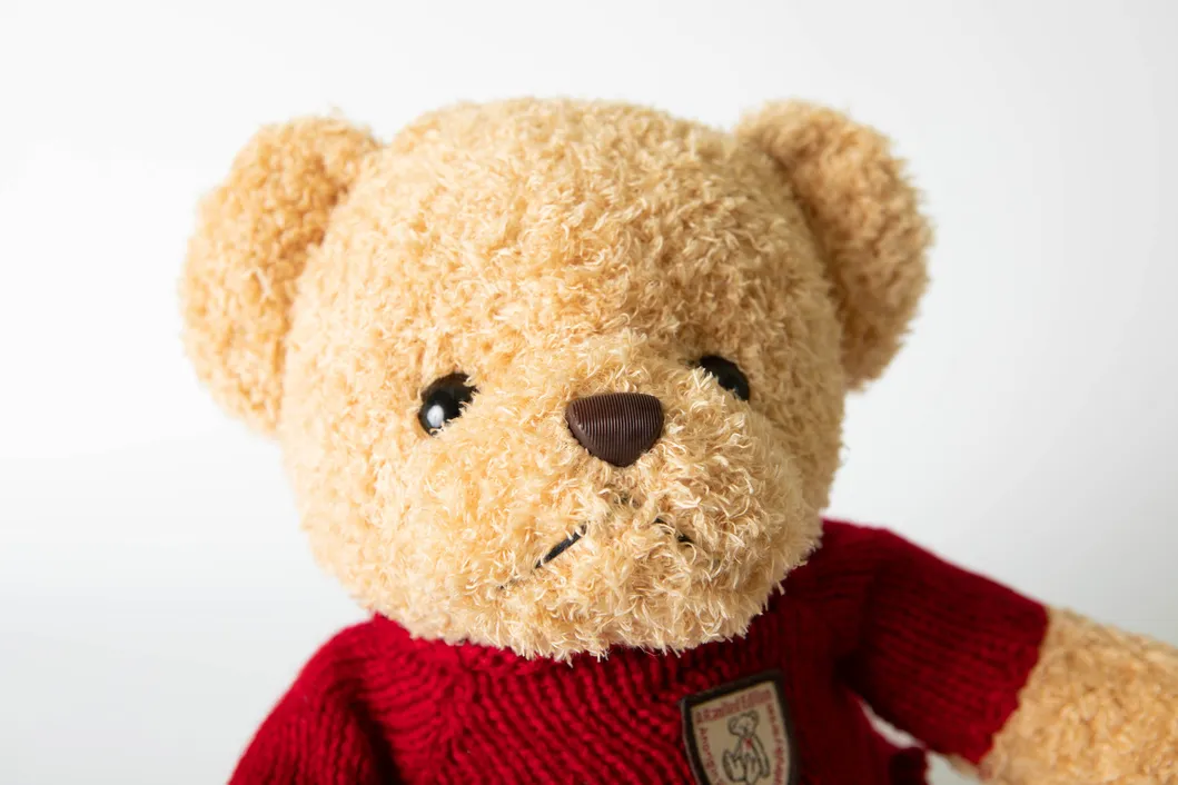 Teedy Bear Plushed Toys W/ Vest