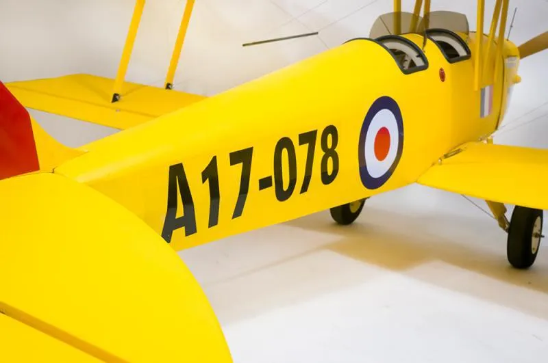 Tiger Moth Remote Control Airplane Wingspan 2150 mm Arf RC Plane