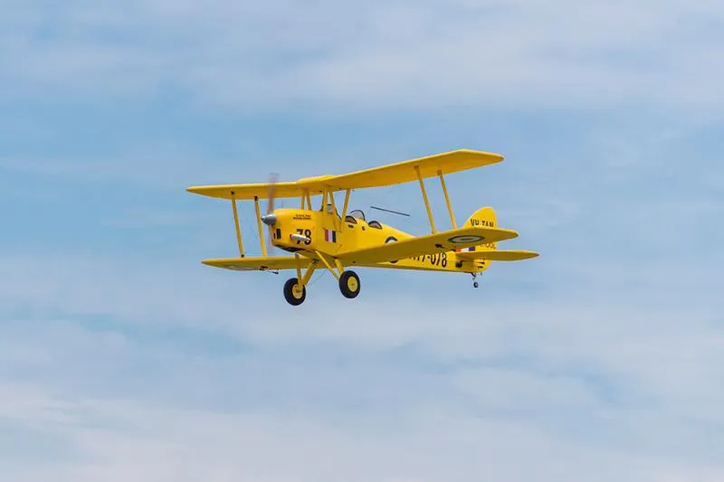 Tiger Moth Remote Control Airplane Wingspan 2150 mm Arf RC Plane