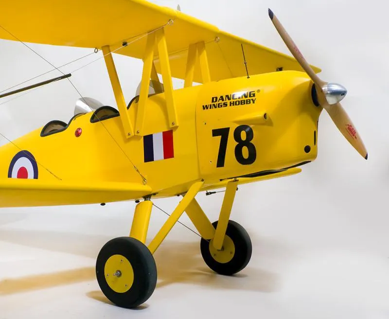 Tiger Moth Remote Control Airplane Wingspan 2150 mm Arf RC Plane