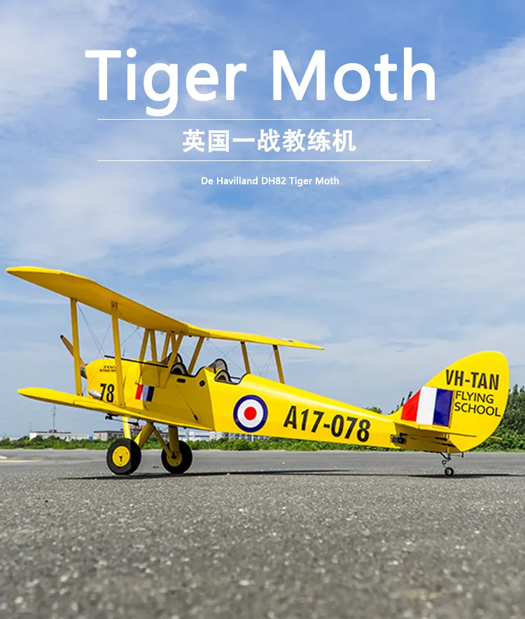 Tiger Moth Remote Control Airplane Wingspan 2150 mm Arf RC Plane