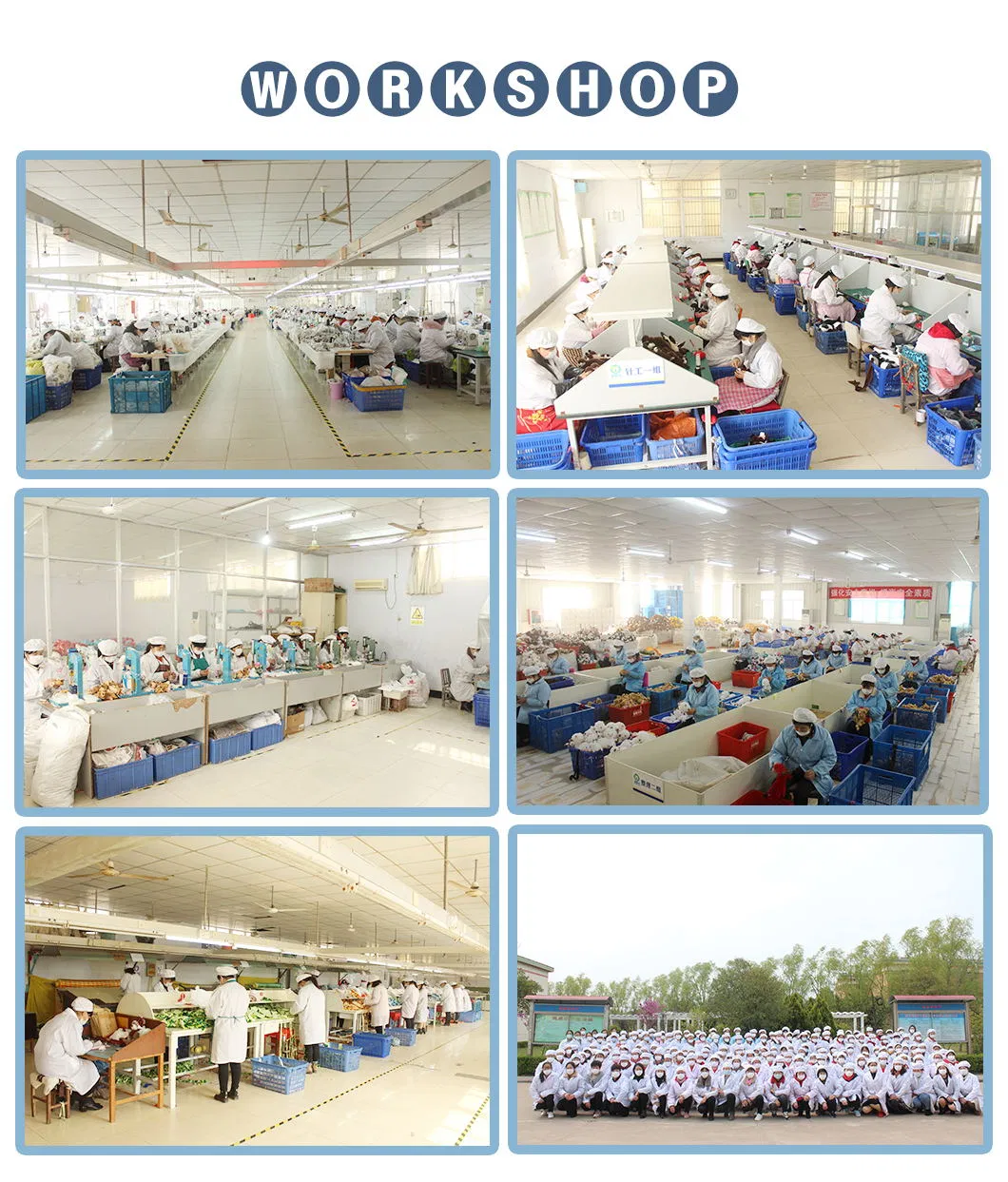 Trendy Animals Rhinoceros for Kid Soft Plush and Stuffed Toy